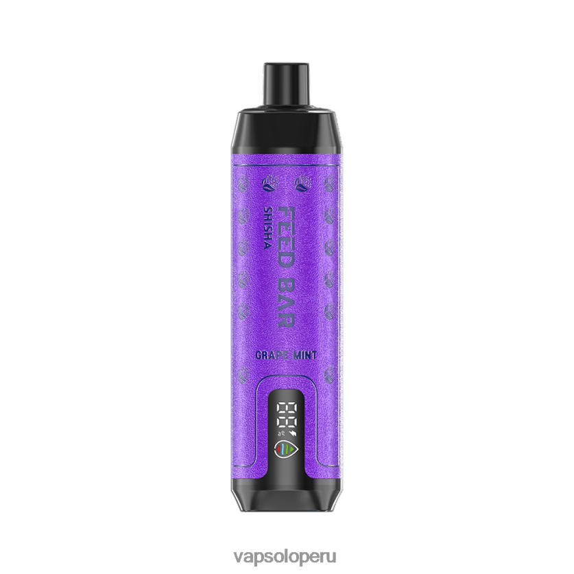 VapSolo Sabores - VapSolo SHISHA vaporizador desechable 2FN8ND6 menta de uva